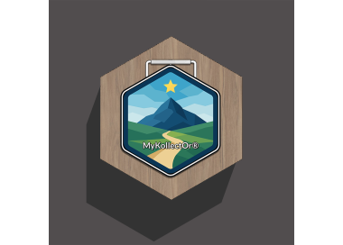 Porte-Médailles Héxa MyKollectOr – Design Modulaire & Écoresponsable