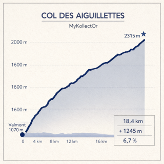 Médaille MyKollectOr – Une trace de l’effort accompli